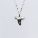 Bite Me // Shark Tooth Necklace, Gold, Sterling Silver, Rose Gold, Animal Friendly // BH-N018